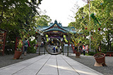 photoA-176