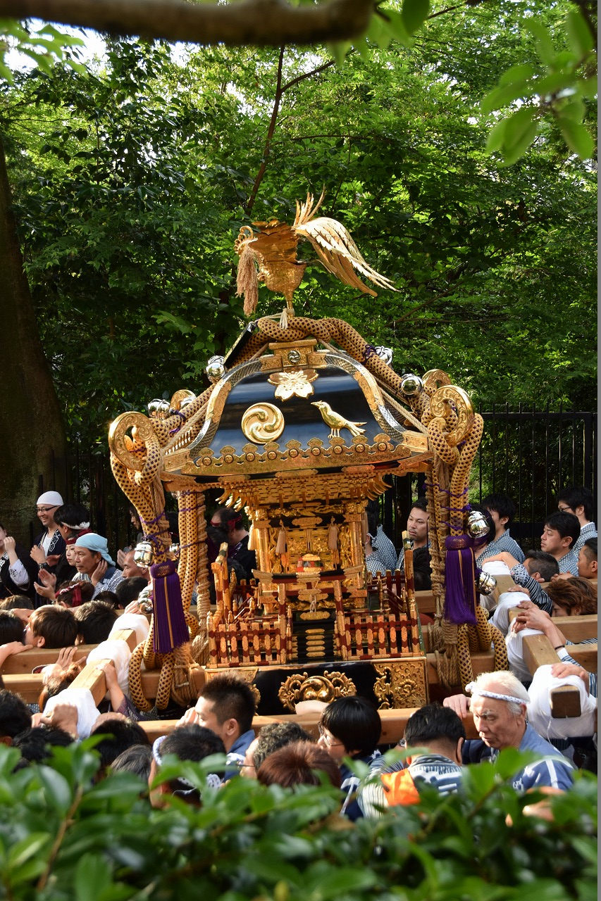 C6-82
