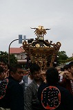 photoC3-197